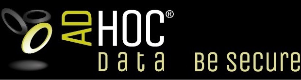 logo adhocdata